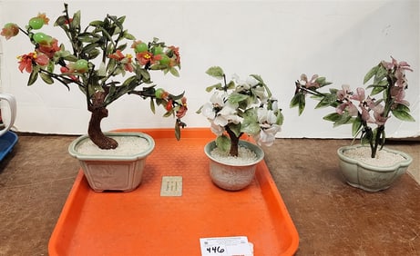 Tray Glass/Plastic Bonsai's