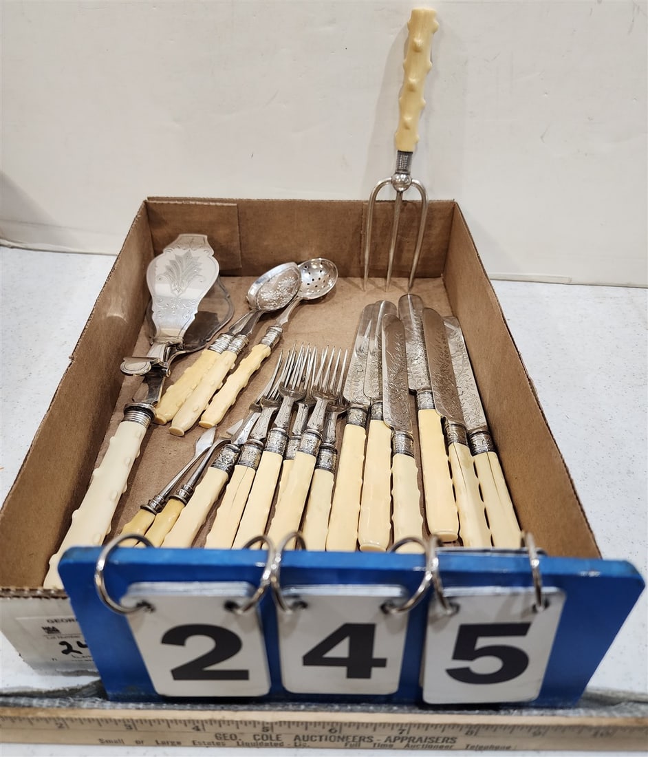 19th C Bone Handled Fish Set w/19 Serving Pcs. (1 of 6)