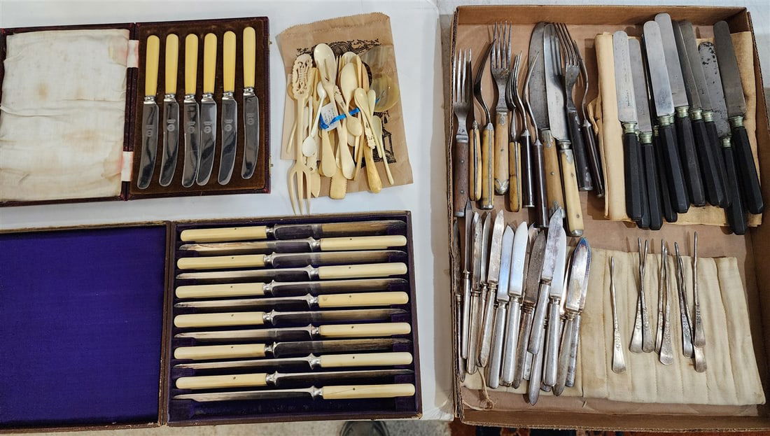 Tray Bone & Wood Handled Knives & Forks (1 of 4)