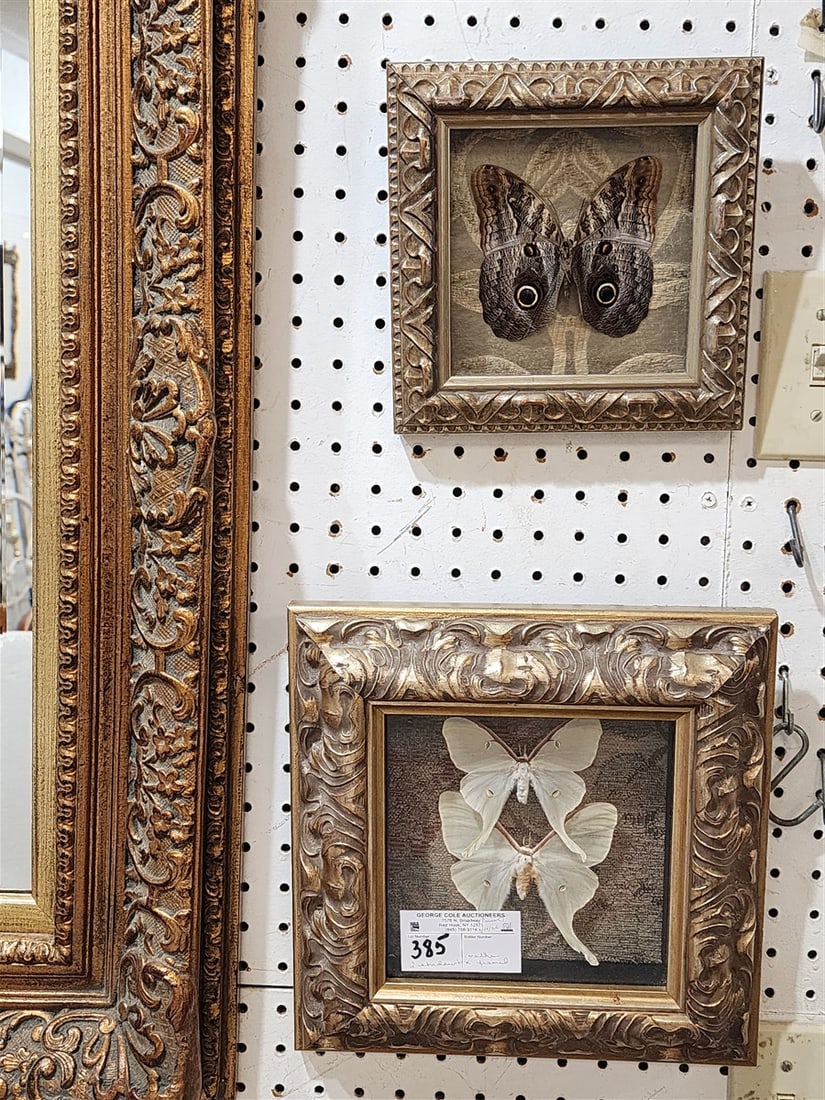 2 Shadowbox Framed Moths 11" Sq. + 8" Sq.: 2 Shadowbox Framed Moths 11" Sq. + 8" Sq.