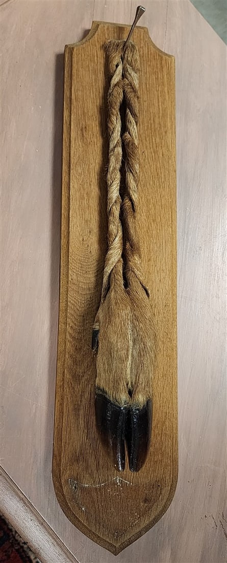 Vintage French Taxidermy Deer Hunting Trophy, Roe Deer Foot (From The Livingston Estate, Teviotdale): Vintage French Taxidermy Deer Hunting Trophy, Roe Deer Foot (From The Livingston Estate, Teviotdale)