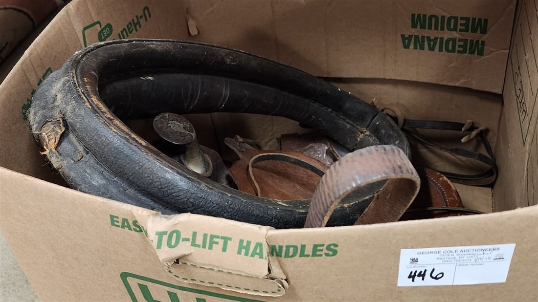 Bx Small Western Saddle & Leather Horse Mule: Bx Small Western Saddle & Leather Horse Mule