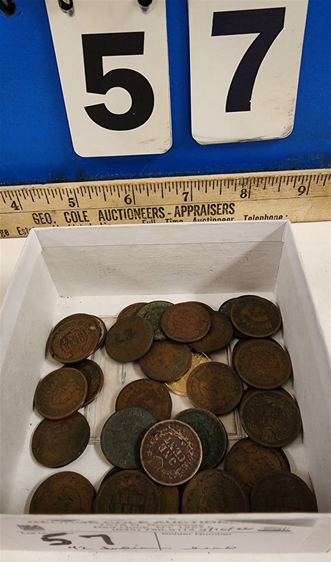 42 Indian Head Pennies: 42 Indian Head Pennies