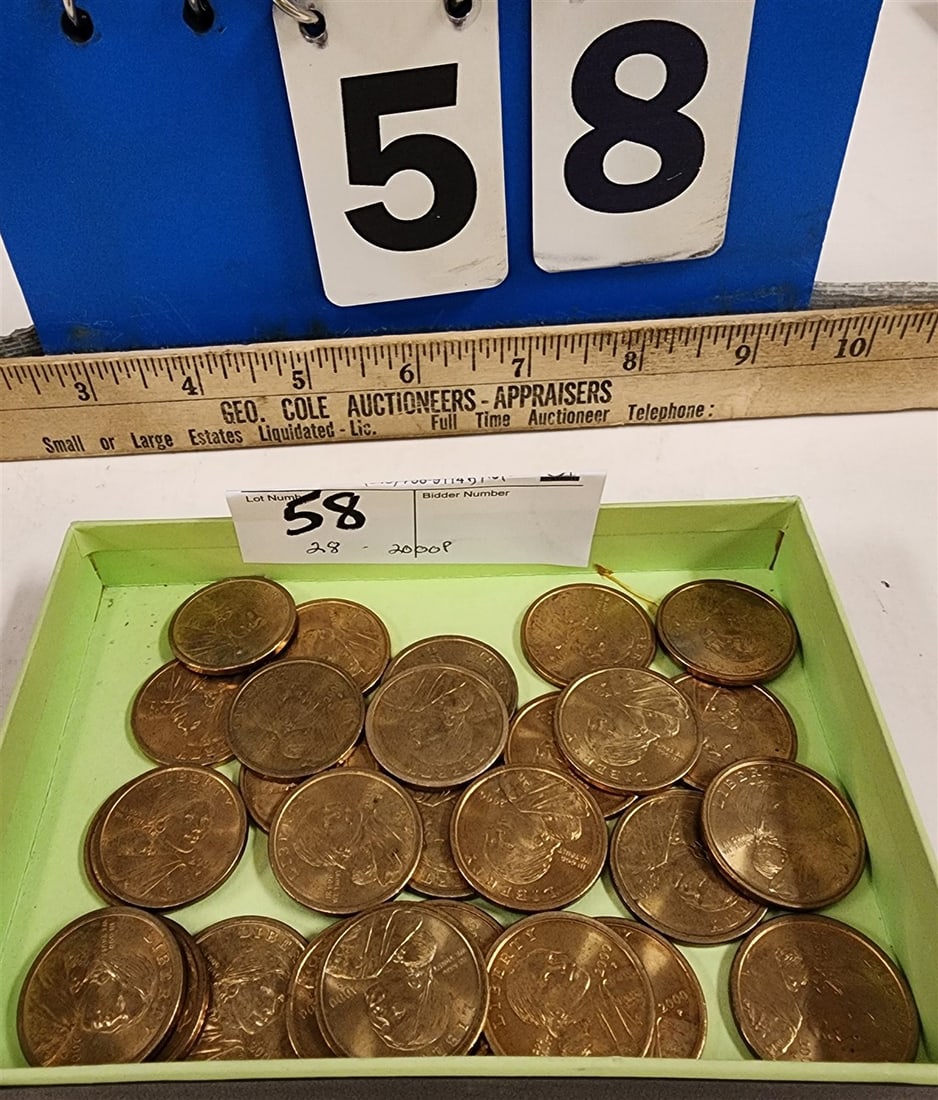28- 2000p Sacagawea Dollars: 28- 2000p Sacagawea Dollars