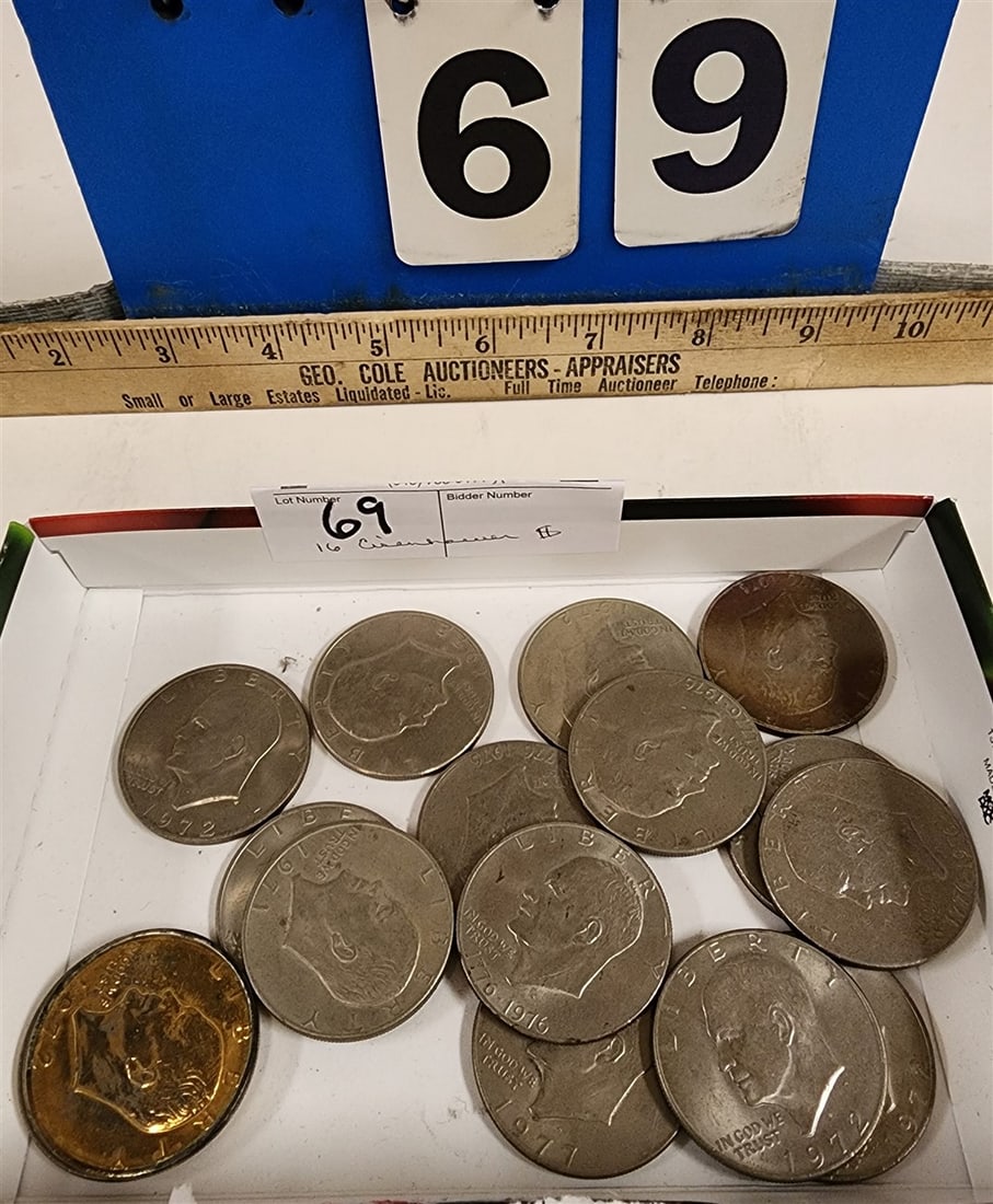 Lot 16 Eisenhower Dollars: Lot 16 Eisenhower Dollars
