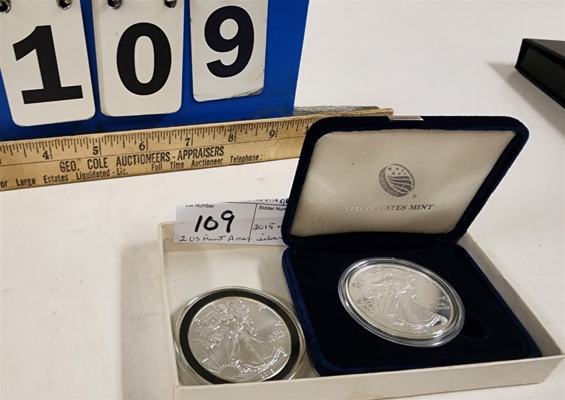 Lot 2 US Mint American Silver Eagle Coins 2015 + 2016 (1 of 2)