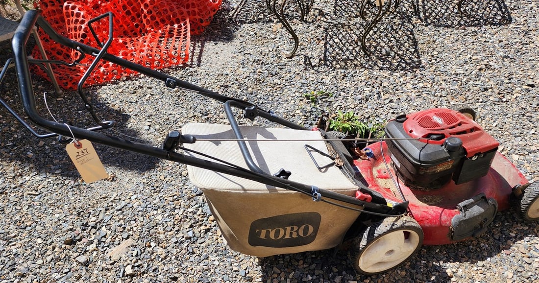 Briggs & Stratton Push Mower: Briggs & Stratton Push Mower