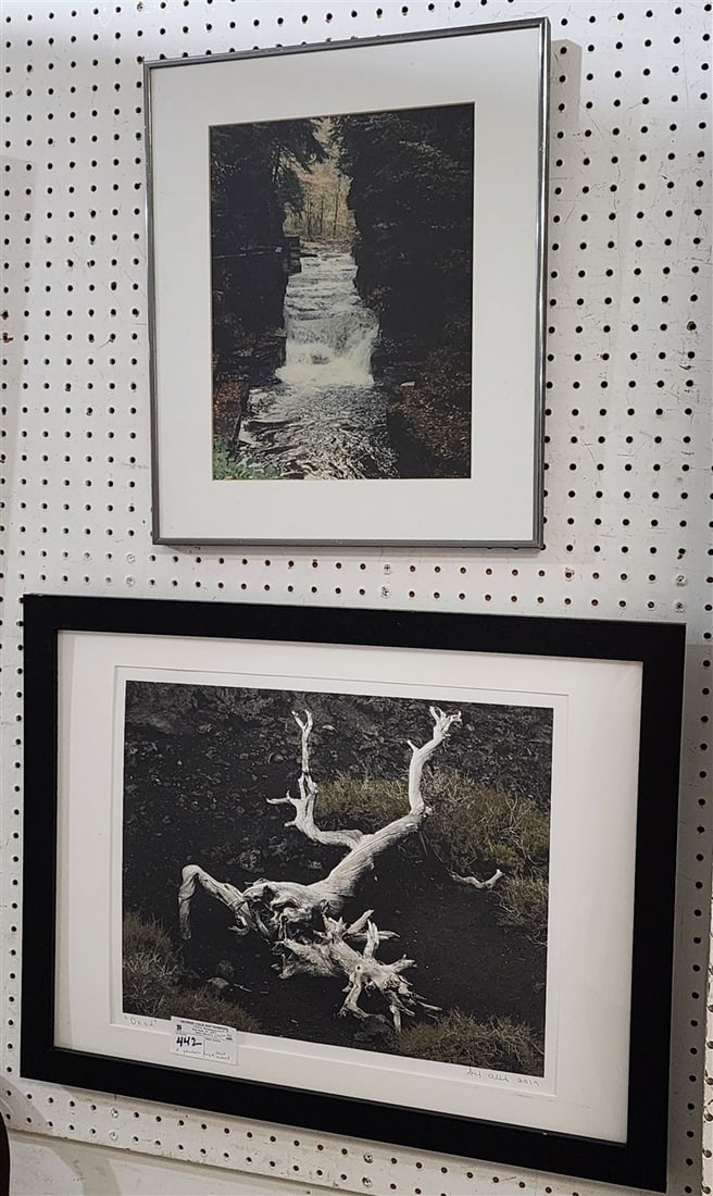 Framed Photograph Of Dead Tree Sgnd Gal Albert 13 1/2" X 177" w/Frame 20" X 26" + Framed Photograph: Framed Photograph Of Dead Tree Sgnd Gal Albert 13 1/2" X 177" w/Frame 20" X 26" + Framed Photograph Of Waterfall Unsgnd 13 1/2" X 10 1/2" w/Frame 18 1/2" X 15 1/2"