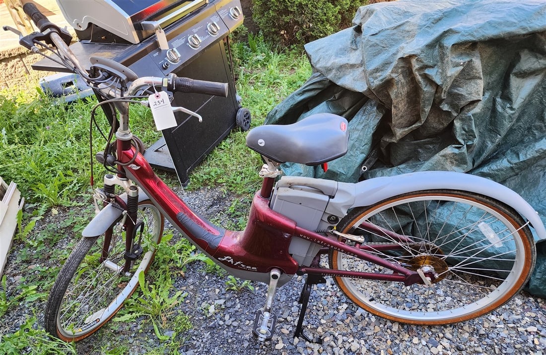 LA Free Electric Bike: LA Free Electric Bike
