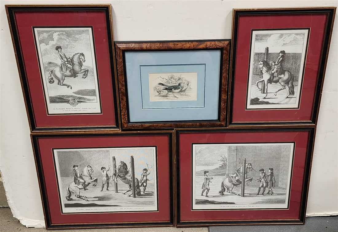 Bx 4 Equestrian Prints - (2) 11" X 15" w/Frame 17" X 20 1/2" + Pr. 10 3/4" X 7" w/Frame 16 1/2" X: Bx 4 Equestrian Prints - (2) 11" X 15" w/Frame 17" X 20 1/2" + Pr. 10 3/4" X 7" w/Frame 16 1/2" X 13" + 19th Litho Of Bird 4" X 6 1/2" w/Frame 12 1/2" X 165"