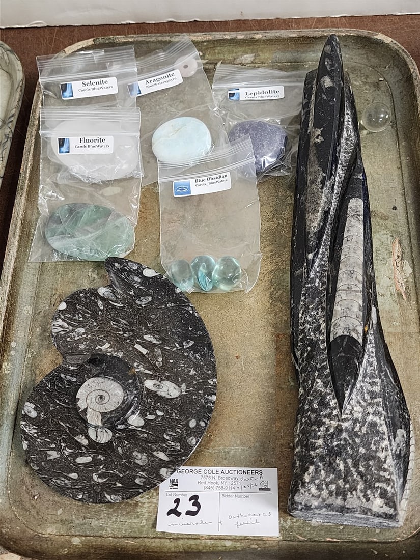 Tray 2 Fossilized Orthoceras Cephalopod Pcs. + Minerals- Selenite, Lepidolite, Flourite, Selenite,: Tray 2 Fossilized Orthoceras Cephalopod Pcs. + Minerals- Selenite, Lepidolite, Flourite, Selenite, Blue Obsidian, Arogonite