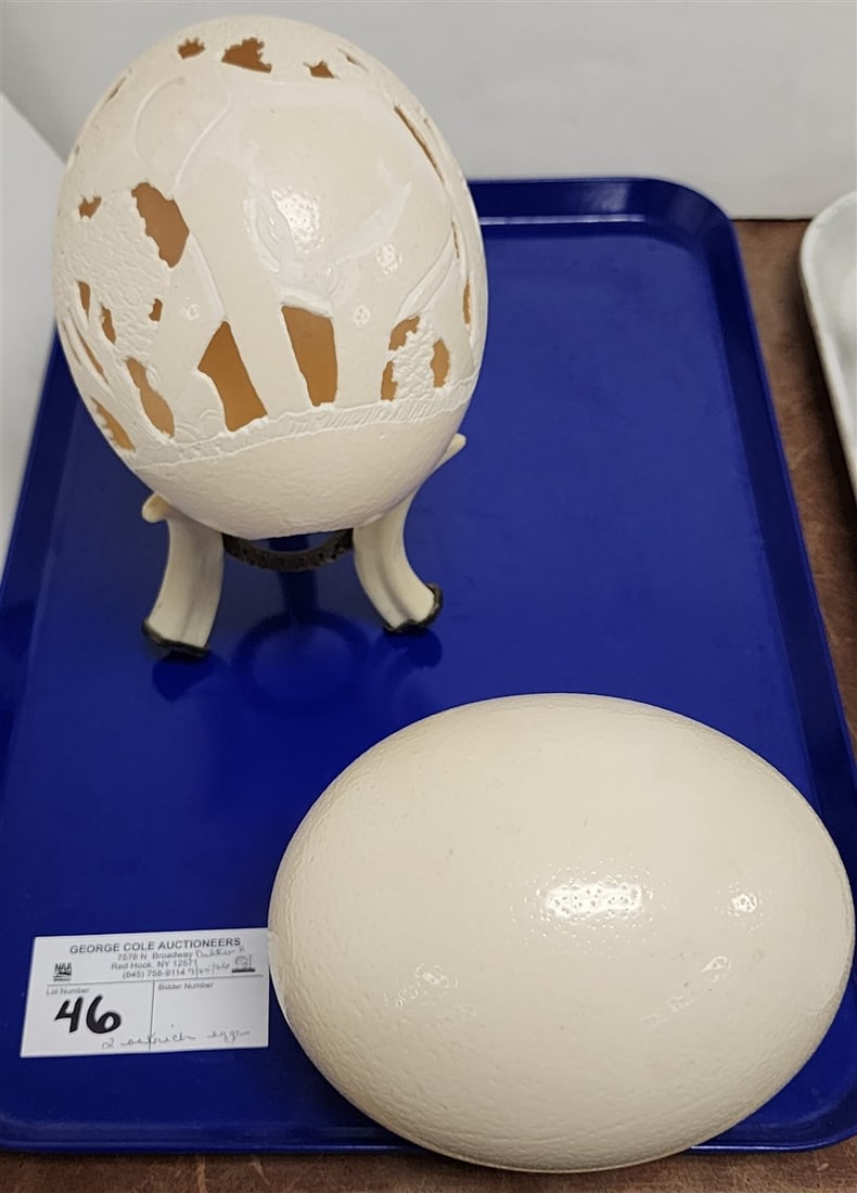 Tray 2 Ostrich Eggs - 1 Carved Sgnd (1 of 10)