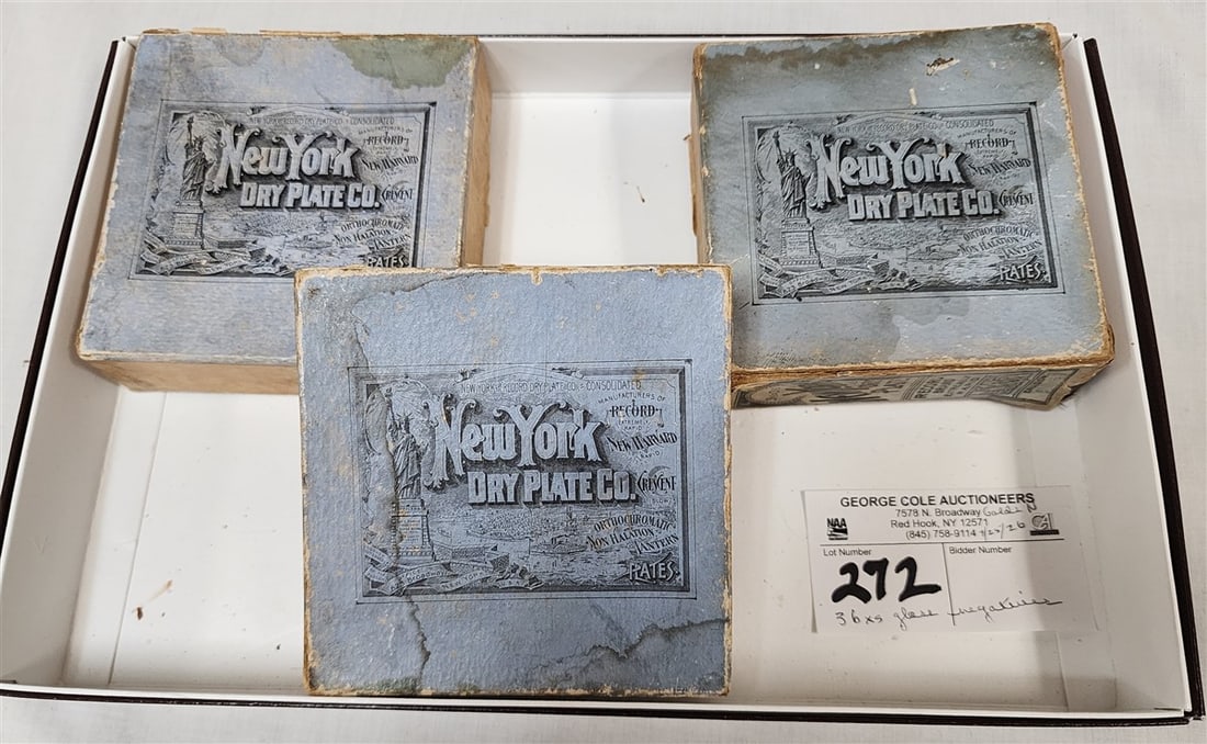 3 Bx's NY Dry Plate Co. Glass Negatives: 3 Bx's NY Dry Plate Co. Glass Negatives
