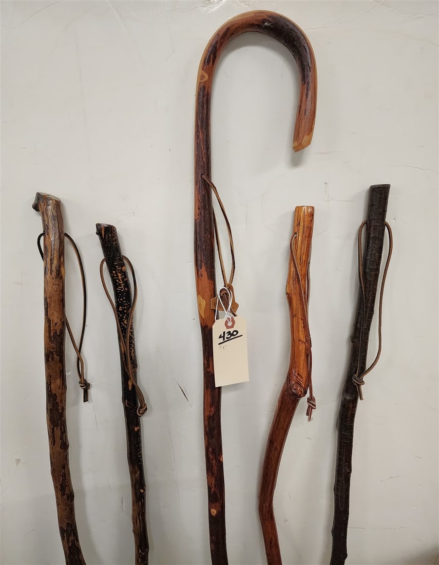 Lot 5 Walking Sticks (1 of 3)
