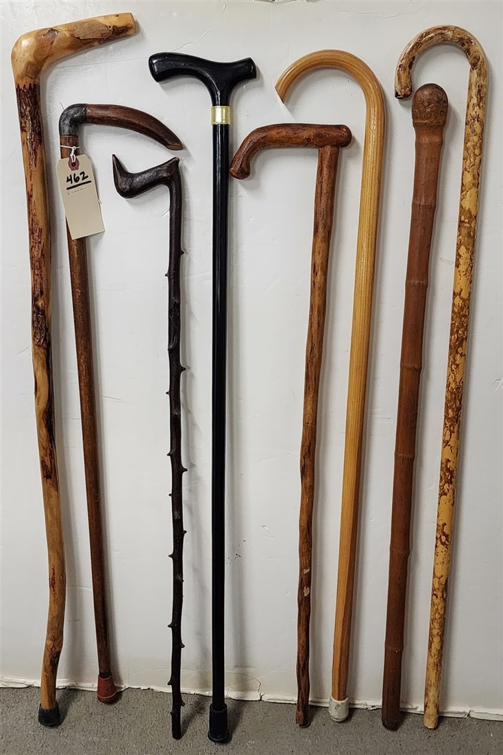 Lot 8 Canes: Lot 8 Canes