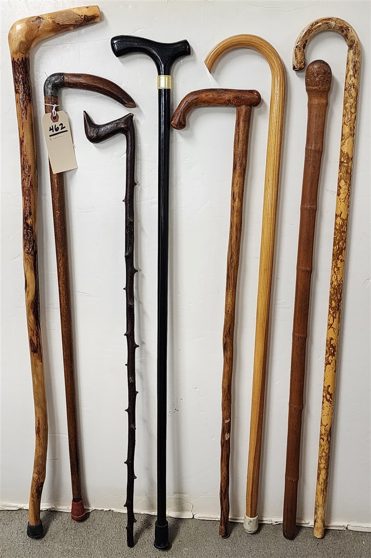 Lot 8 Canes - 2