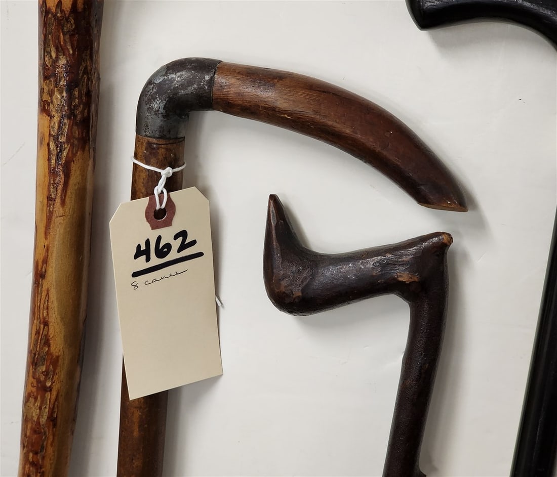 Lot 8 Canes - 3