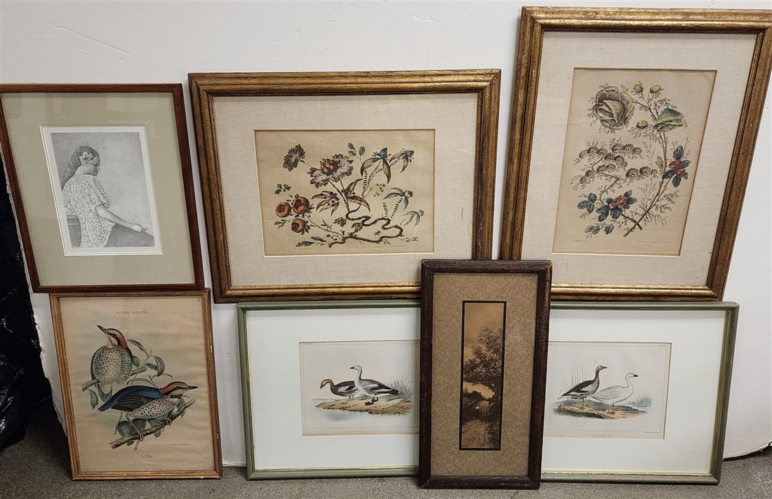 Bx 7 Framed Items - Pr. Hand Colored Lithos - Geese 8" X 10", Pr. Botanical Etchings 13 1/2" X 9 (1 of 6)