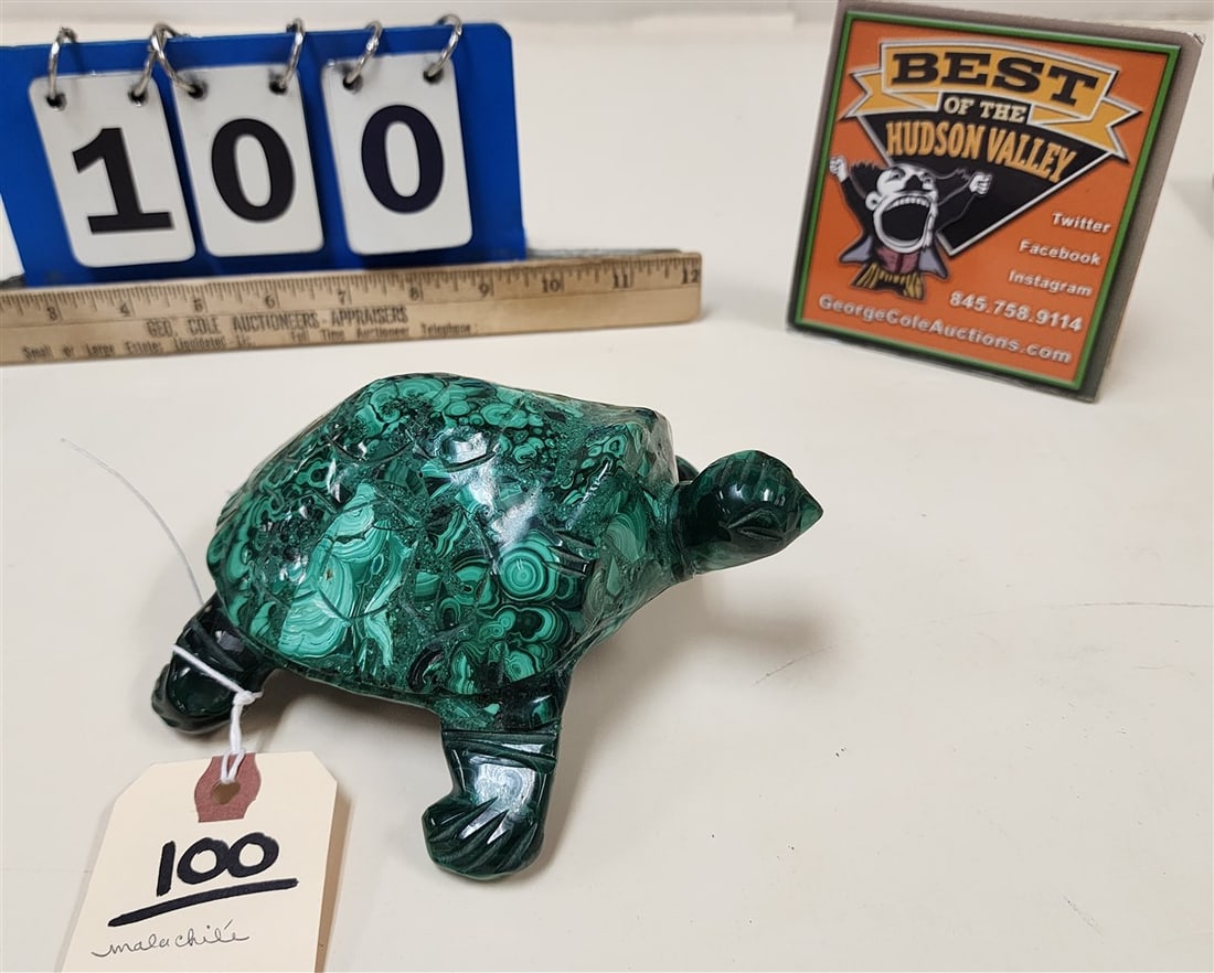 Malachite Turtle (1 of 3)