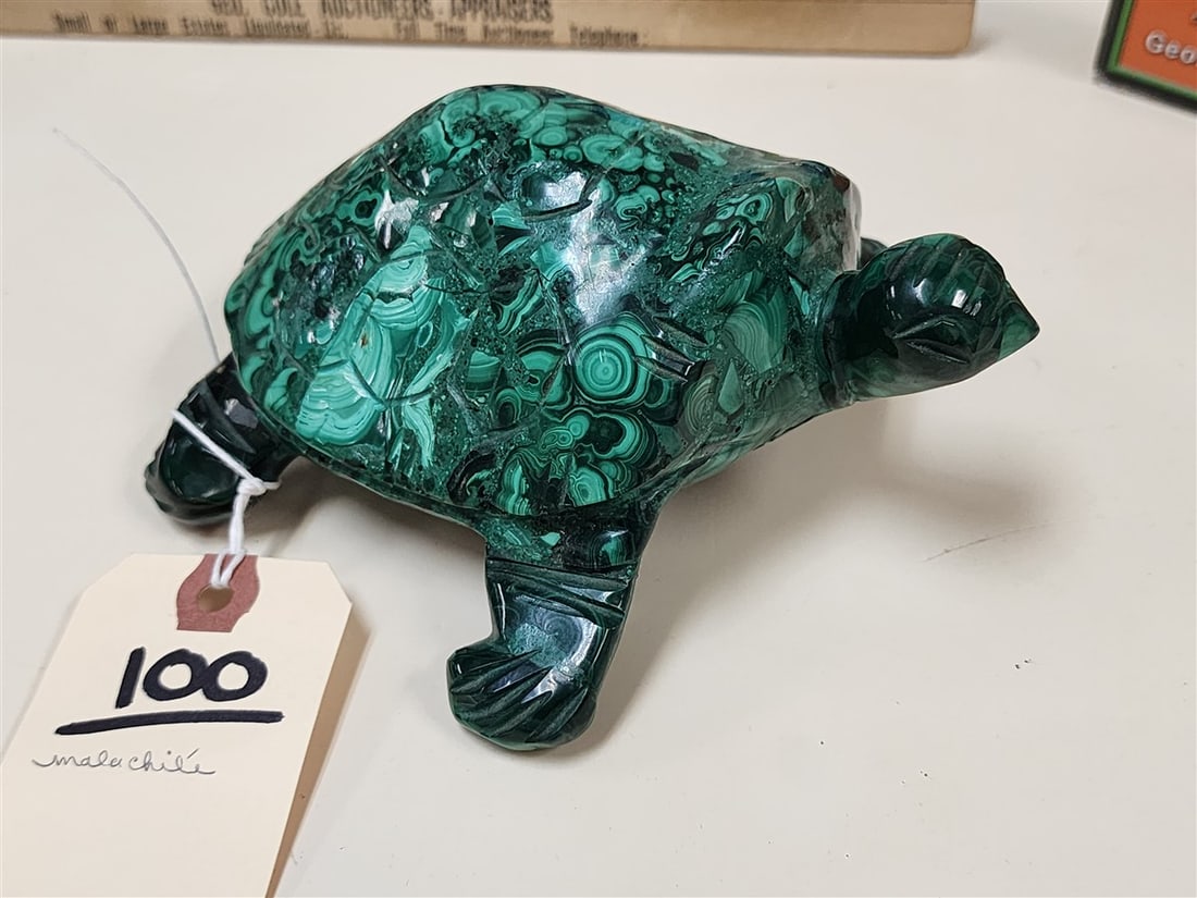 Malachite Turtle - 2