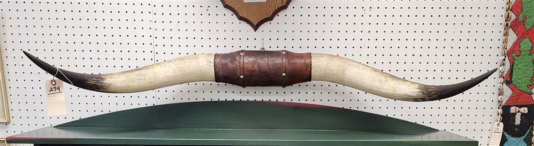 Long Horn Steer Mount w/Embossed Leather 47" (1 of 2)