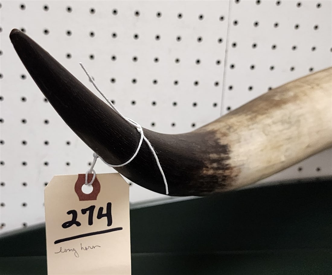 Long Horn Steer Mount w/Embossed Leather 47" - 2