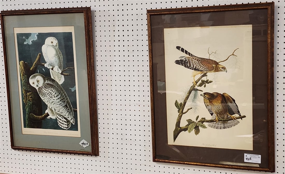 Pr. Framed Audubon Bird Lithos 22" X 15 1/2" w/Frame 30" X 23" (1 of 3)