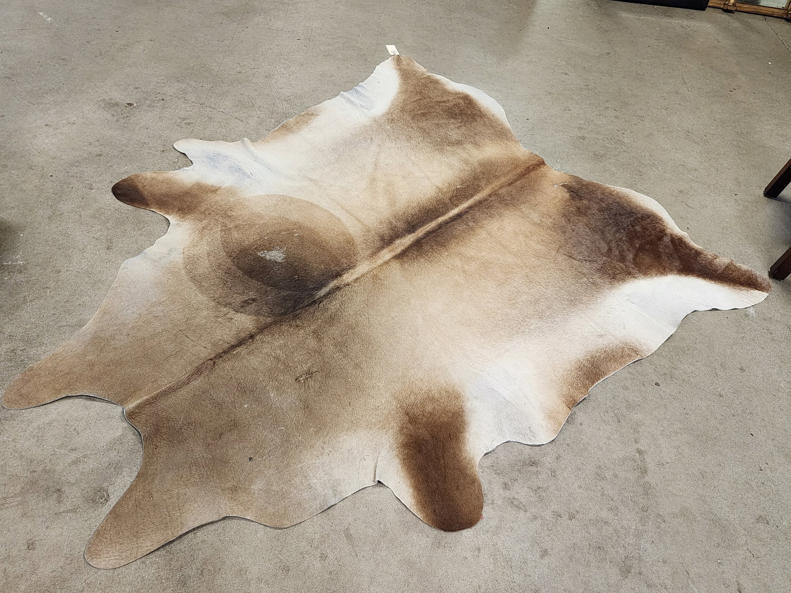 Brazillian Cowhide 6'7" X 7'8": Brazillian Cowhide 6'7" X 7'8"