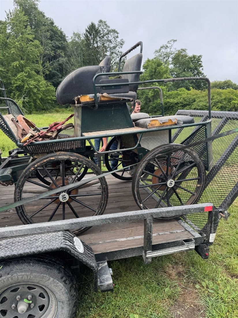 Horse Drawn Carriage - 2