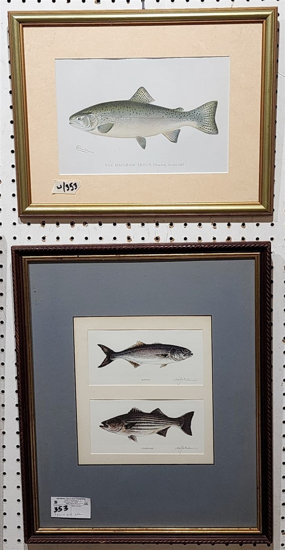 2 Framed Fish Lithos - 10 3/4" X 9 1/2" w/Frame 21 1/2" X 18" + 7 1/2" X 11 1/2" w/Frame 13 1/2" X: 2 Framed Fish Lithos - 10 3/4" X 9 1/2" w/Frame 21 1/2" X 18" + 7 1/2" X 11 1/2" w/Frame 13 1/2" X 17 1/2"