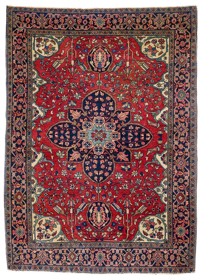 Farahan Saronim (1 of 1)