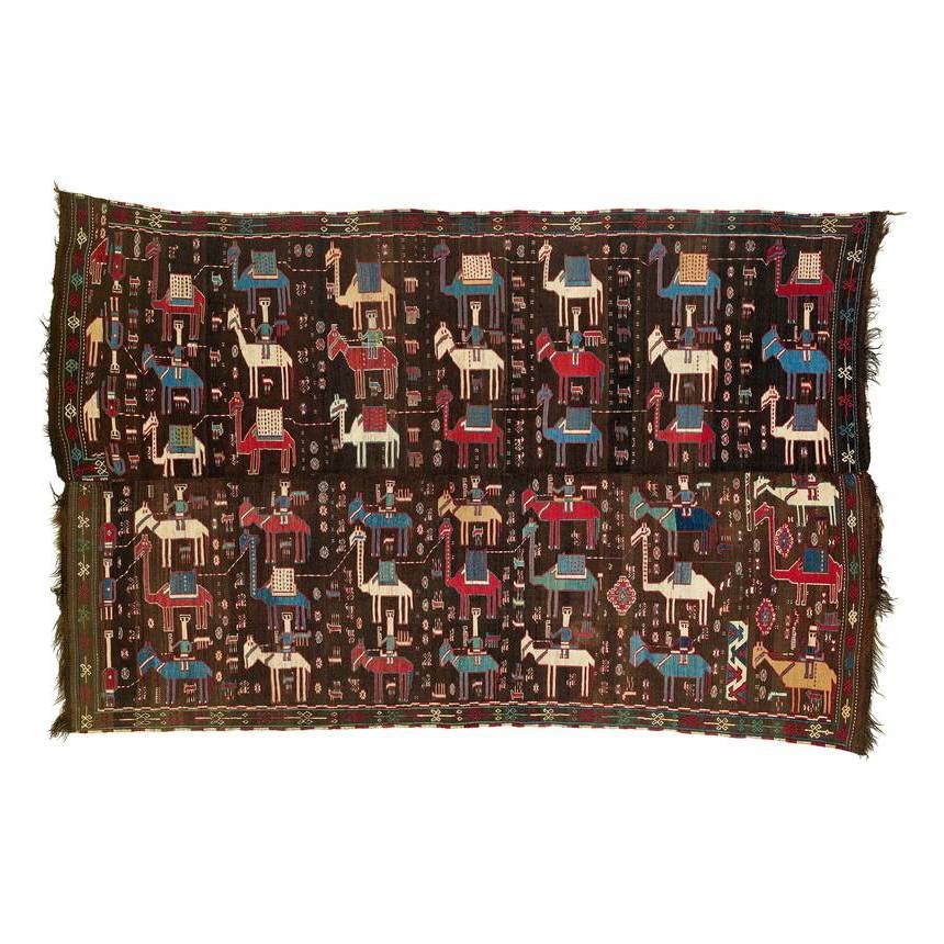 Caucasian Shadda (1 of 1)