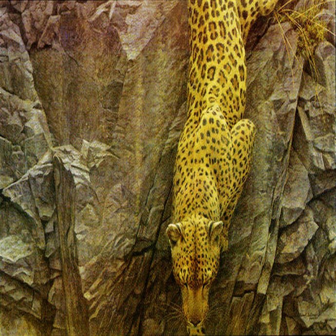 Rockface Descent: Bateman, Robert; Signed and Numbered, Lithograph, Approx. 20" x 30"