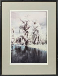 Sandra Russell Clark (1949- ,New Orleans), "Louisiana: Sandra Russell Clark (1949- ,New Orleans), "Louisiana Swamp Scene," 20th c., toned photograph, 147/1000, pencil numbered lower left margin, pencil signed lower right margin, framed, H.- 19 5/8 in, W.-