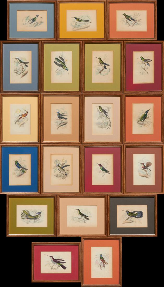 William Home Lizars, "Hummingbirds," early 20th c.,: William Home Lizars, "Hummingbirds," early 20th c., group of twenty colored prints, presented in mahogany frames, H.- 6 1/2 in., W.- 4 1/2 in. Provenance: The Estates of Dr. and Mrs. David S. Miller,