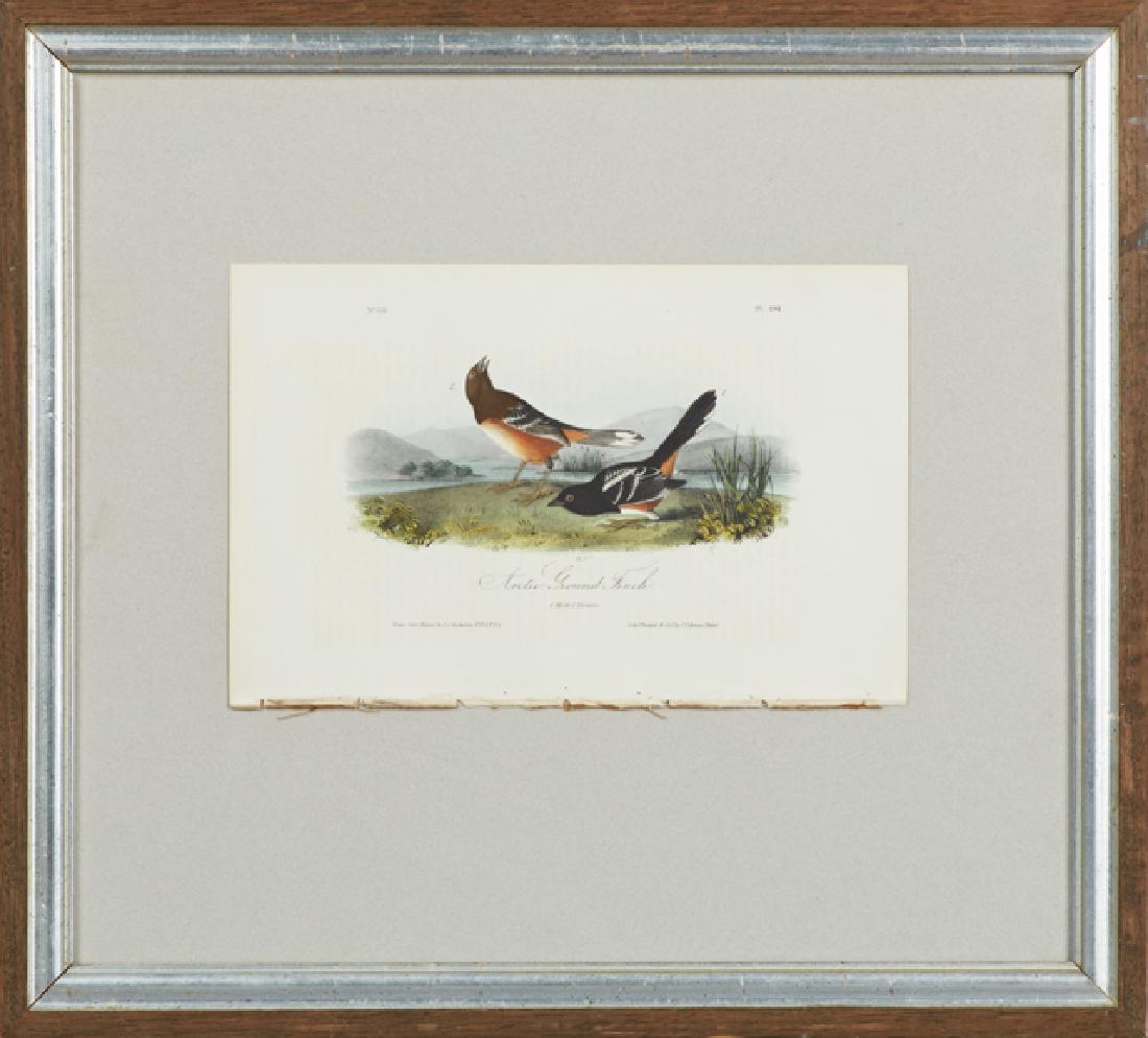 John James Audubon (1785-1851), "Arctic Ground Finch,": John James Audubon (1785-1851), "Arctic Ground Finch," No. 39, Plate 194, 1840, Octavo, 1st edition, presented in a mahogany frame with a silvered liner, H.- 6 5/8 in., W.- 10 3/8 in.