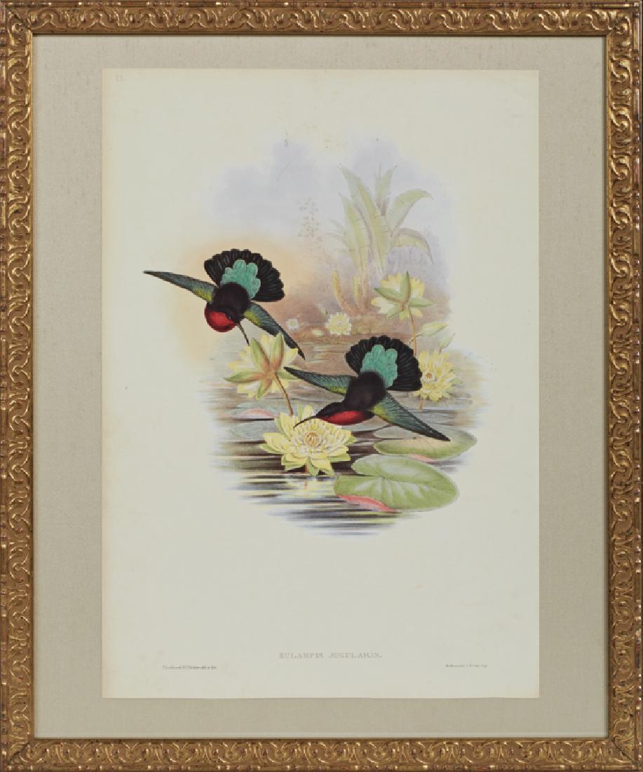 J. Gould and H. C. Richter, 