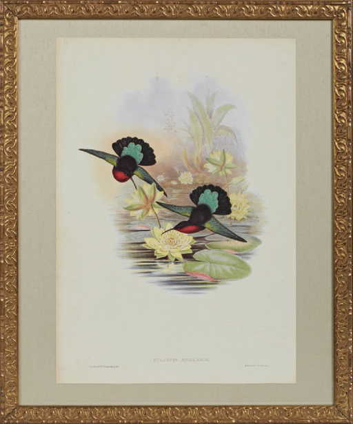 J. Gould and H. C. Richter,