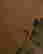 item-63172794=3