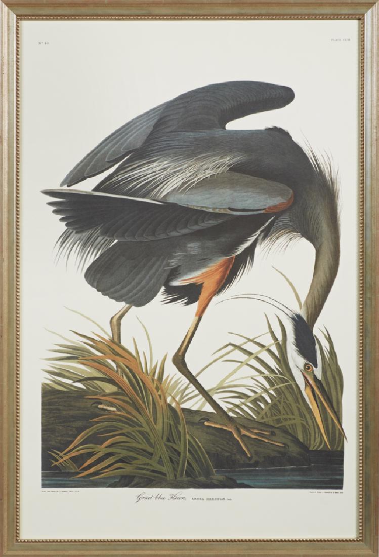 John James Audubon (1785-1851), "Great Blue Heron," No. (1 of 1)