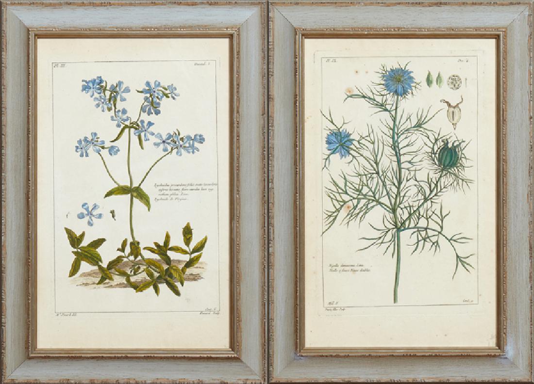 Pierre Joseph Buchoz (1731-1807), "Lychnidea (1 of 5)