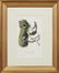 John James Audubon (1785-1851), "Red Shafted - 3