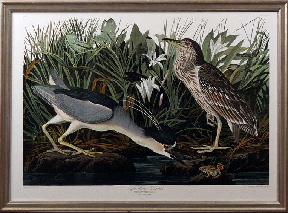 John James Audubon (1785-1851), "Night Heron or Qua (1 of 1)