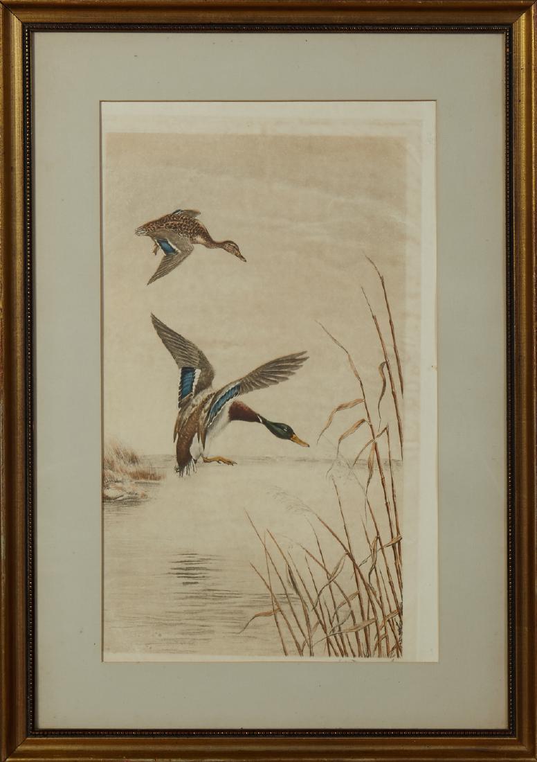 Leon Danchin (1887-1938, French), "Mallards Coming In,": Leon Danchin (1887-1938, French), "Mallards Coming In," 20th c., colored engraving, pencil signed lower right margin, presented in a gilt frame with a dentillated liner, H.- 23 1/2 in., W.- 14 in.