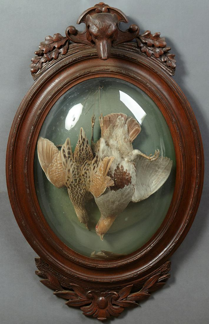 Pair of French Taxidermied Birds Dioramas, 19th c., (1 of 2)