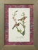 John James Audubon (1785-1851), Seven Octavo Songbird - 7