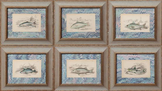 William Home Lizars (1788-1859), Group of Six: William Home Lizars (1788-1859), Group of Six Hand-Colored Fish Prints from "The Natural History of Fishes" by William Jardine, consisting of "Anotus Notatus," "Labrax Lupus," "Corvina grunniens," "Ce