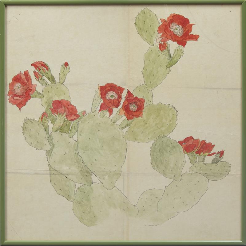 Josephine Ella Zettel (1874-1954), "Blooming Cactus," (1 of 2)