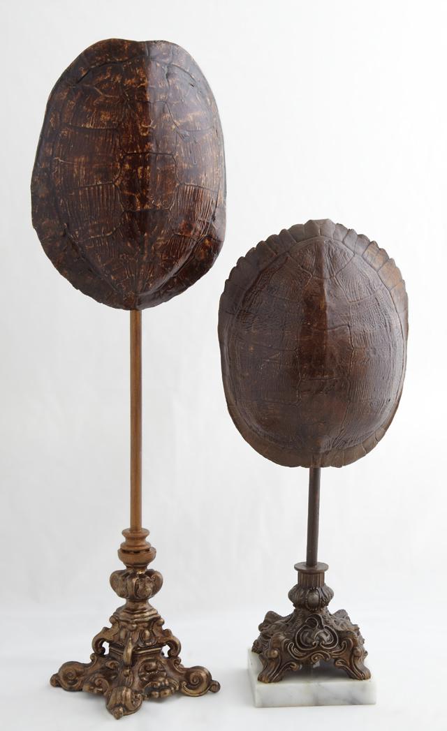 Two Louisiana Turtle Shells, one on an iron and spelter (1 of 1)