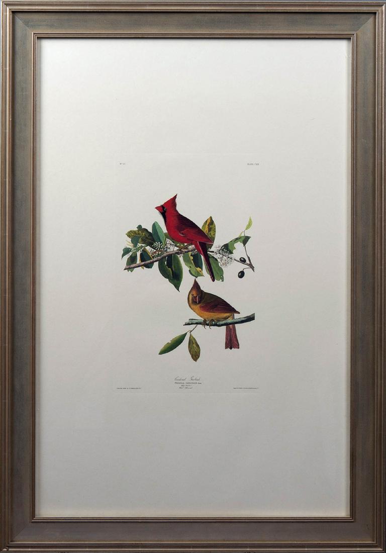John James Audubon (1785-1851), "Cardinal Grosbeak," (1 of 2)